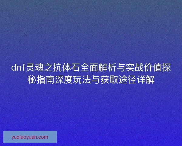 dnf灵魂之抗体石全面解析与实战价值探秘指南深度玩法与获取途径详解