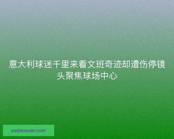 意大利球迷千里来看文班奇迹却遭伤停镜头聚焦球场中心 意大利球迷千里来看文班奇迹却遭伤停镜头聚焦球场中心